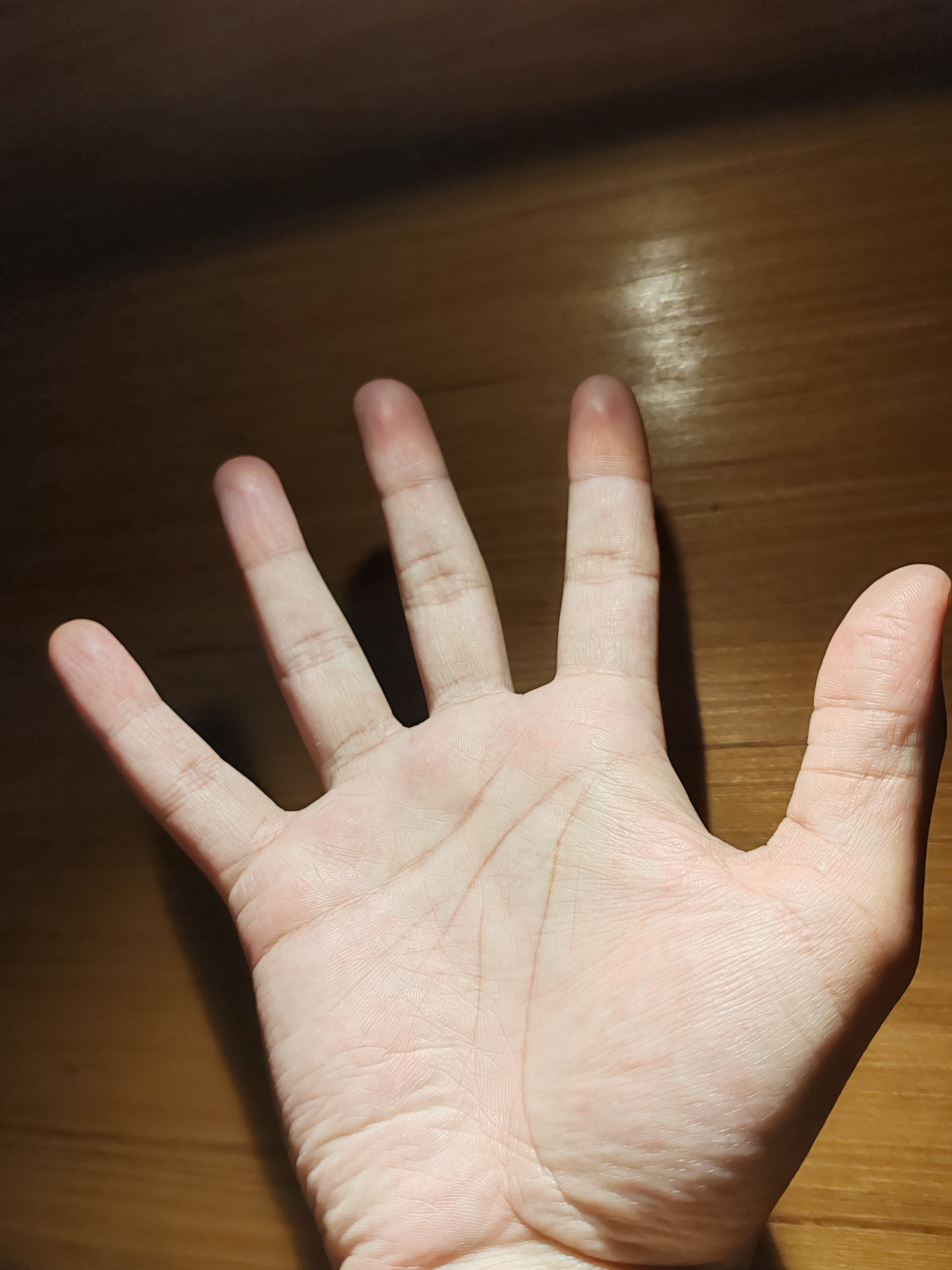 আকাইদ (জরুরী বিশ্বাসনীতি)